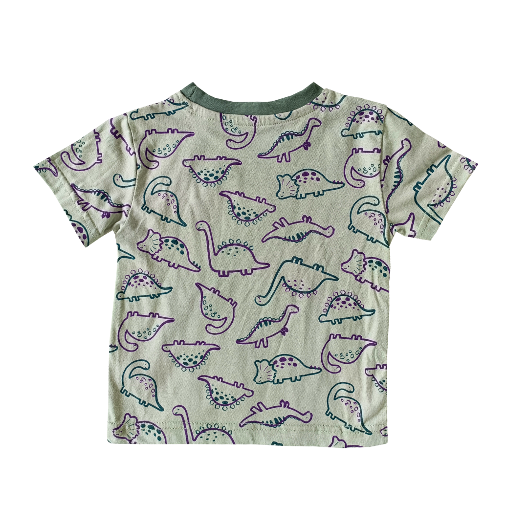 Top & shorts - Green dino