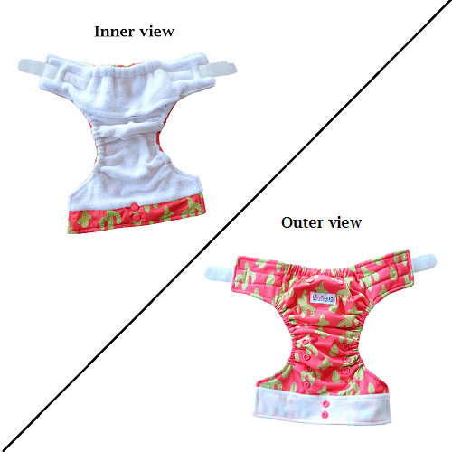Cactus - Newborn diaper with 1 insert (2.5kg - 8kg)