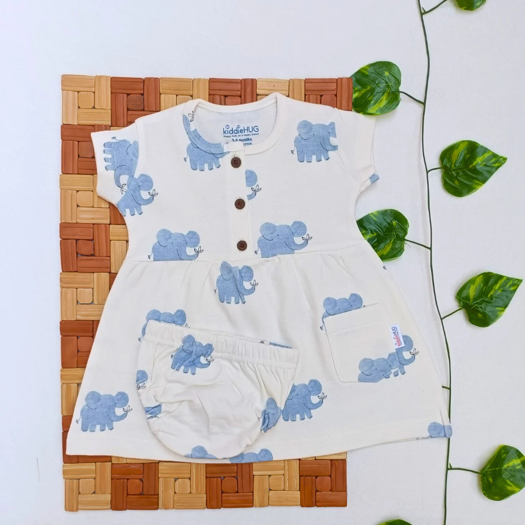 Sleeve Frock + Bloomer set - Combo 1