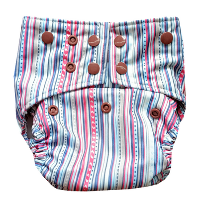 2 Diapers + 4 Inserts super saver combo-2 (6kg - 17kg)