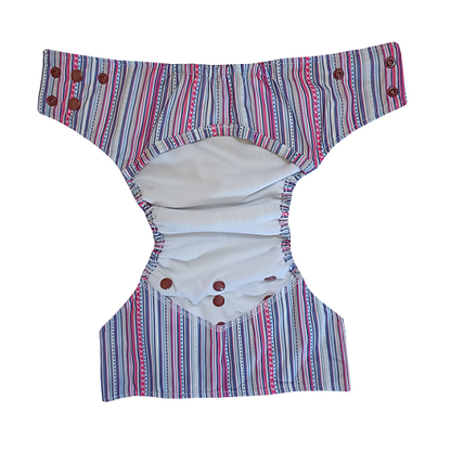 2 Diapers + 4 Inserts super saver combo-2 (6kg - 17kg)