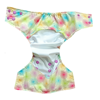 2 Diapers + 4 Inserts super saver combo-1 (6kg - 17kg)