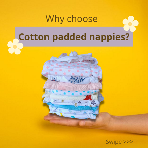 Organic Cotton Padded Nappy - Teddy